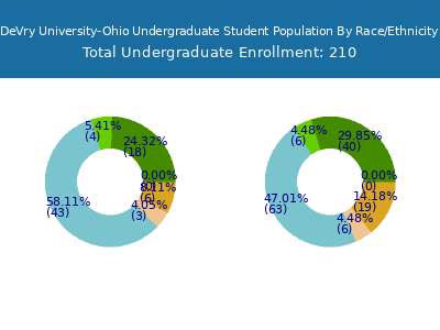 DeVry University-Ohio 2025 Undergraduate Enrollment by Gender and Race chart
