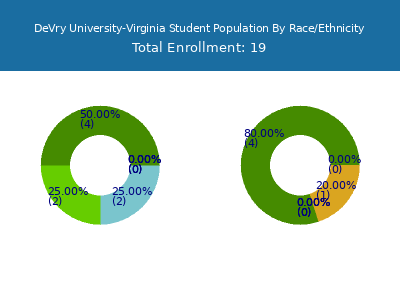 DeVry University-Virginia 2025 Student Population by Gender and Race chart