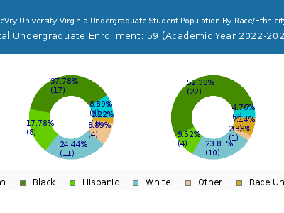 DeVry University-Virginia 2023 Undergraduate Enrollment by Gender and Race chart