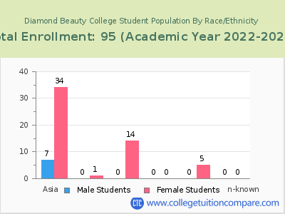 Diamond Beauty College 2023 Student Population by Gender and Race chart