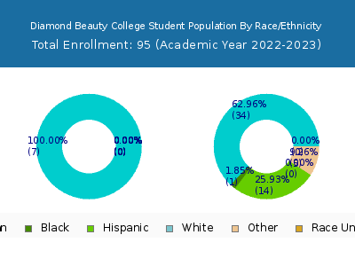 Diamond Beauty College 2023 Student Population by Gender and Race chart