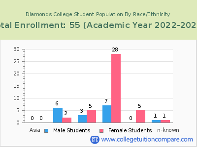 Diamonds College 2023 Student Population by Gender and Race chart