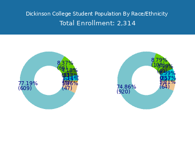 Dickinson College 2025 Student Population by Gender and Race chart