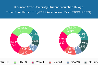 Dickinson State University 2023 Student Population Age Diversity Pie chart