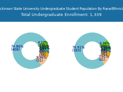 Dickinson State University 2025 Undergraduate Enrollment by Gender and Race chart