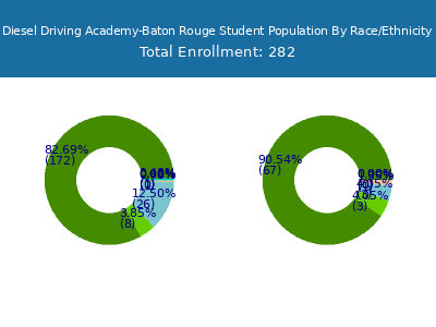 Diesel Driving Academy-Baton Rouge 2025 Student Population by Gender and Race chart