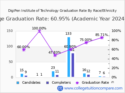 DigiPen Institute of Technology graduation rate by race