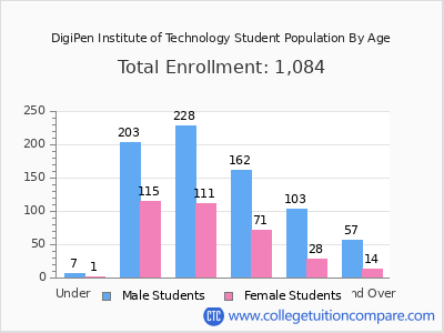 DigiPen Institute of Technology 2024 Student Population by Age chart