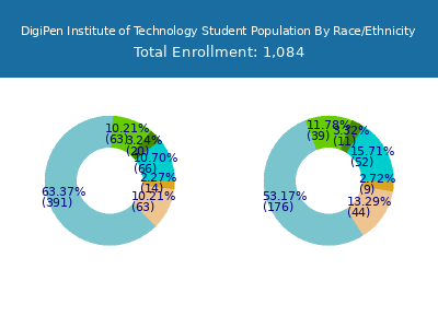 DigiPen Institute of Technology 2025 Student Population by Gender and Race chart