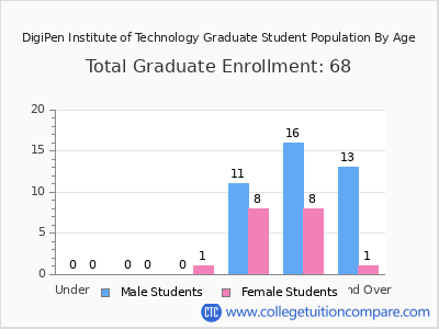 DigiPen Institute of Technology 2024 Graduate Enrollment by Age chart