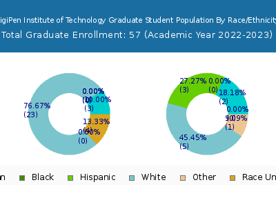 DigiPen Institute of Technology 2023 Graduate Enrollment by Gender and Race chart