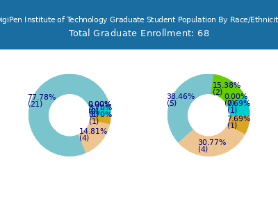 DigiPen Institute of Technology 2025 Graduate Enrollment by Gender and Race chart