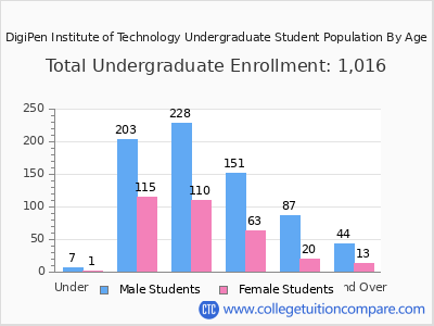 DigiPen Institute of Technology 2024 Undergraduate Enrollment by Age chart