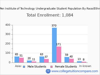DigiPen Institute of Technology 2025 Undergraduate Enrollment by Gender and Race chart