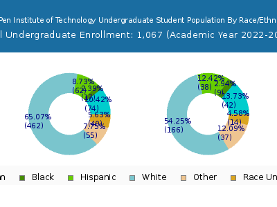 DigiPen Institute of Technology 2023 Undergraduate Enrollment by Gender and Race chart