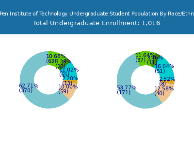 DigiPen Institute of Technology 2025 Undergraduate Enrollment by Gender and Race chart