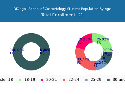 DiGrigoli School of Cosmetology 2024 Student Population Age Diversity Pie chart
