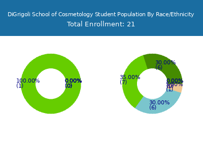 DiGrigoli School of Cosmetology 2025 Student Population by Gender and Race chart