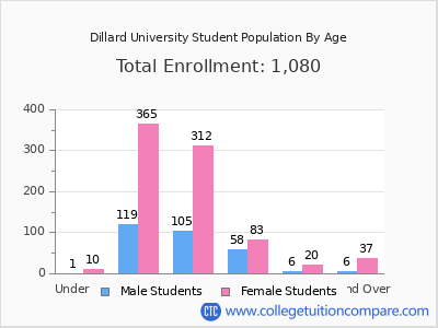 Dillard University 2024 Student Population by Age chart