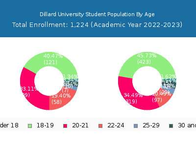 Dillard University 2023 Student Population Age Diversity Pie chart
