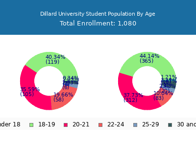 Dillard University 2024 Student Population Age Diversity Pie chart