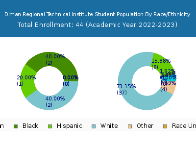 Diman Regional Technical Institute 2023 Student Population by Gender and Race chart