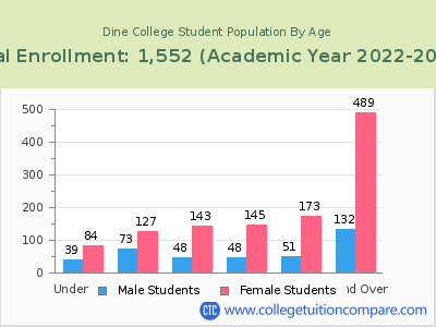 Dine College 2023 Student Population by Age chart