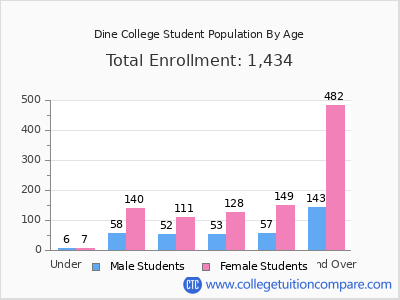 Dine College 2025 Student Population by Age chart