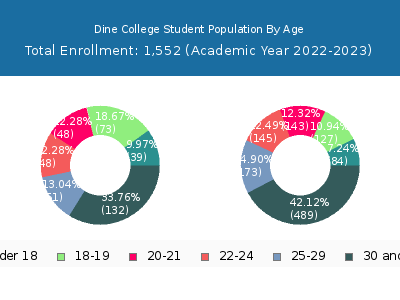 Dine College 2023 Student Population Age Diversity Pie chart