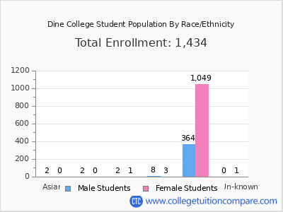 Dine College 2025 Student Population by Gender and Race chart