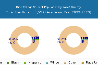 Dine College 2023 Student Population by Gender and Race chart