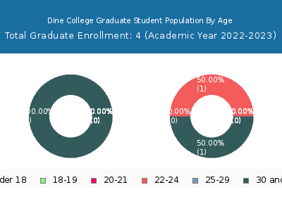 Dine College 2023 Graduate Enrollment Age Diversity Pie chart