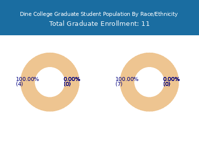 Dine College 2025 Graduate Enrollment by Gender and Race chart