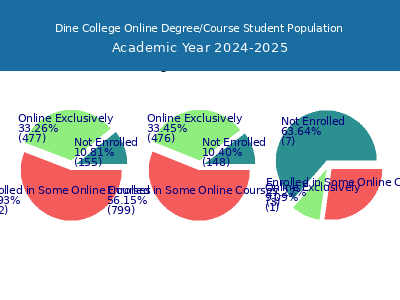 Dine College 2025 Online Student Population chart