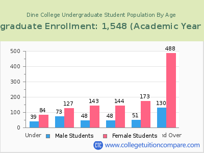 Dine College 2023 Undergraduate Enrollment by Age chart