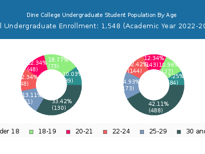 Dine College 2023 Undergraduate Enrollment Age Diversity Pie chart