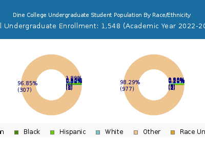 Dine College 2023 Undergraduate Enrollment by Gender and Race chart