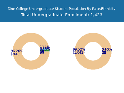 Dine College 2025 Undergraduate Enrollment by Gender and Race chart