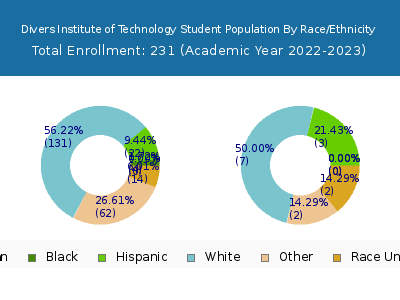 Divers Institute of Technology 2023 Student Population by Gender and Race chart