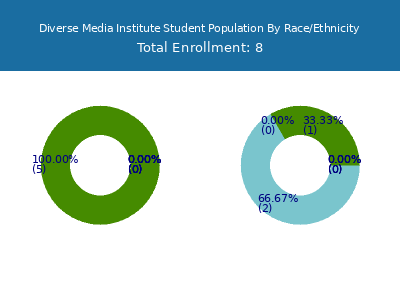 Diverse Media Institute 2025 Student Population by Gender and Race chart