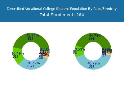 Diversified Vocational College 2025 Student Population by Gender and Race chart