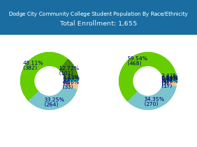 Dodge City Community College 2025 Student Population by Gender and Race chart