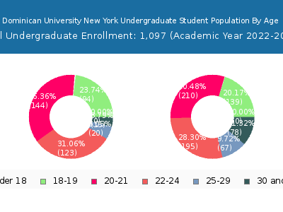 Dominican University New York 2023 Undergraduate Enrollment Age Diversity Pie chart