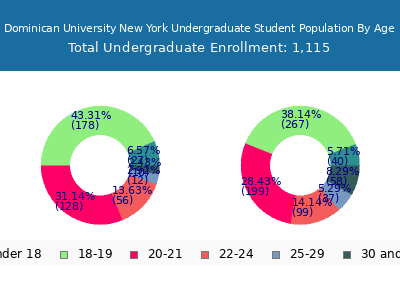 Dominican University New York 2025 Undergraduate Enrollment Age Diversity Pie chart