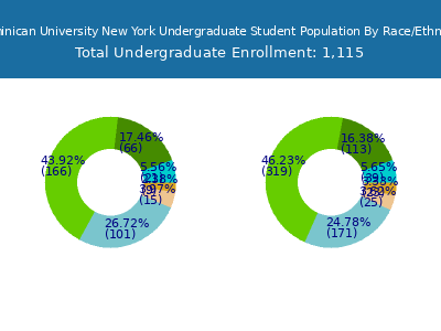 Dominican University New York 2025 Undergraduate Enrollment by Gender and Race chart