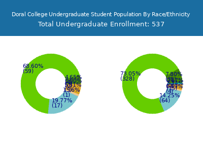 Doral College 2025 Undergraduate Enrollment by Gender and Race chart