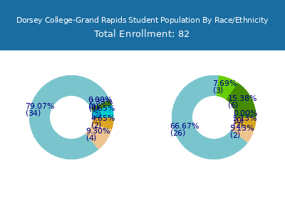 Dorsey College-Grand Rapids 2025 Student Population by Gender and Race chart