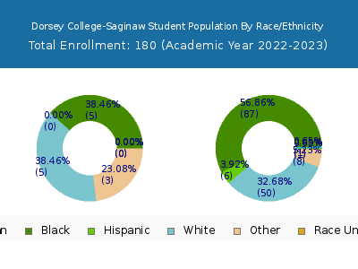 Dorsey College-Saginaw 2023 Student Population by Gender and Race chart