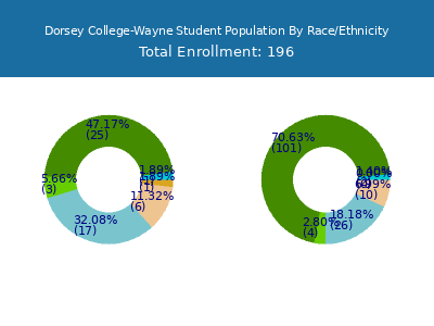 Dorsey College-Wayne 2025 Student Population by Gender and Race chart
