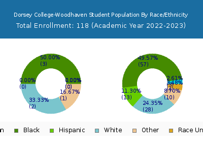 Dorsey College-Woodhaven 2023 Student Population by Gender and Race chart